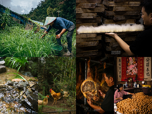 石鸡 火腿 毛豆腐 寻味徽州山野食材｜BIG WAY玩味