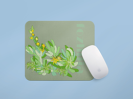 本草植物文创产品