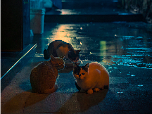 小岛渔村往事  街拍回忆