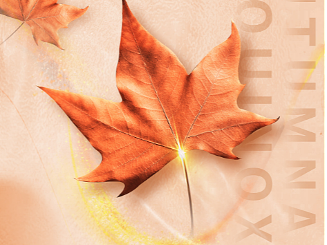 节气海报（秋分）