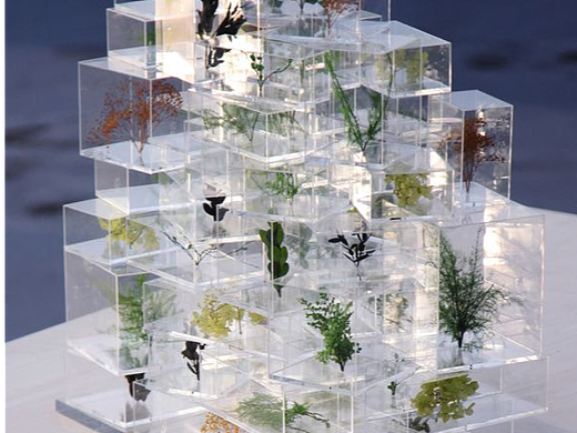 亚克力美容院植物园标本盒