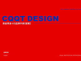 新能源-辰启青途VIS品牌手册