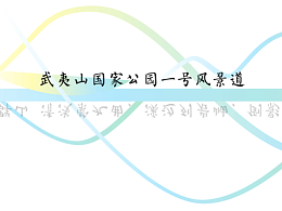 《武夷山国家公园一号风景道——一溪贯群山 清浅萦九曲, 溪边列岩岫, 倒影浸寒绿》