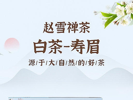 赵雪禅茶详情页练习