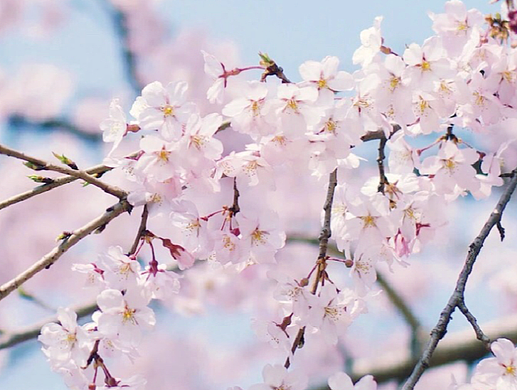 VI（个人主页-ZNjEyNTg0MDA=） - 海报 - 站酷设计师DECADEVICE原创素材 - 站酷ZCOOL