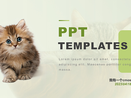 ppt模板-淡绿简洁