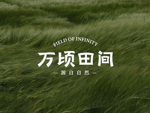 DAKO出品 | 万顷田间·新中式轻养类食补品牌