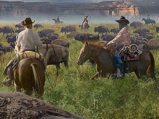 西部牛仔运输野牛