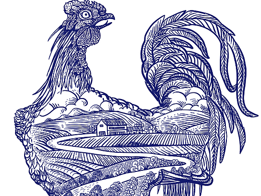 蛋鸡铜版画包装插画设计，画中画