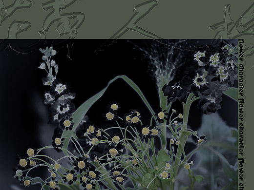 花草人格