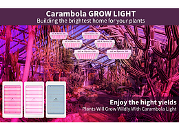 亞馬遜【LED原生態(tài)設(shè)計】