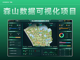 森山可视化项目设计分析