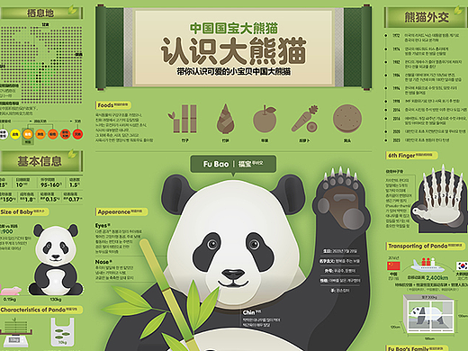 2023_07_大熊猫_Giant Panda【信息图表】