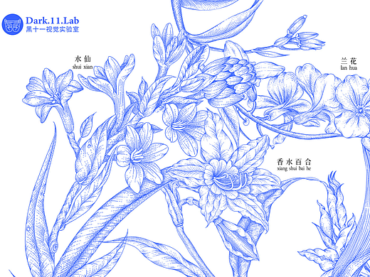 黑十一｜花海点绘铜版画商业插画