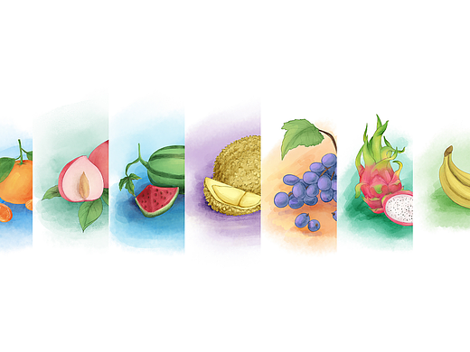 水果插图