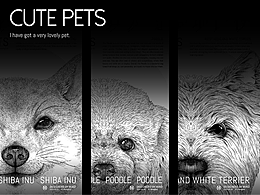 一组可爱小狗的版画