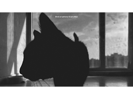 Shot on iPhone 13 Pro Max｜手機(jī)攝影