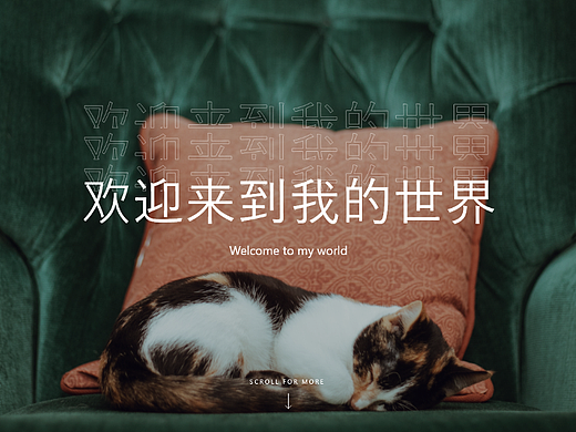 个人网站设计