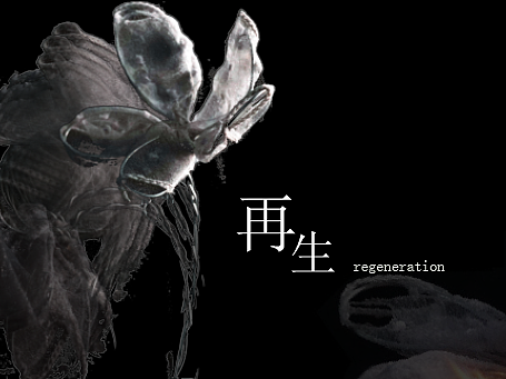 《再生》—关于植物互作修复重金属污染土壤的系列设计