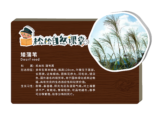 植物科普牌 花卉宣传教育绿化牌