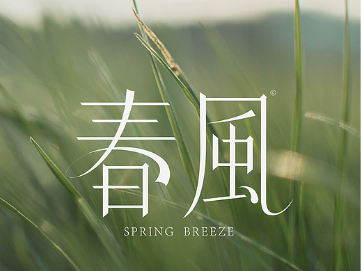 春风（个人主页-ZNjg2NjU0NjA=） - 字体/字形 - 站酷设计师晋褚原创素材 - 站酷ZCOOL
