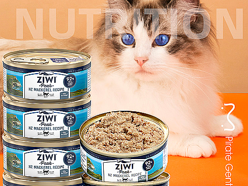 寵物糧（個人主頁-ZNjg0MTgyOTY=） - 移動端網(wǎng)頁 - 站酷設計師a123嗨原創(chuàng)素材 - 站酷ZCOOL