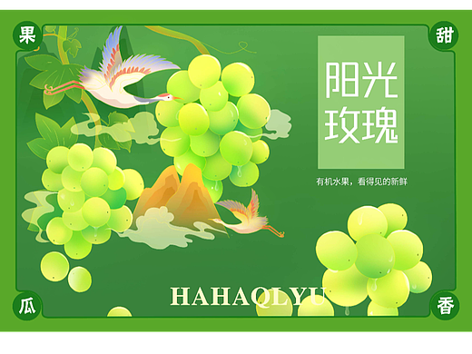 礼盒包装插画——葡萄