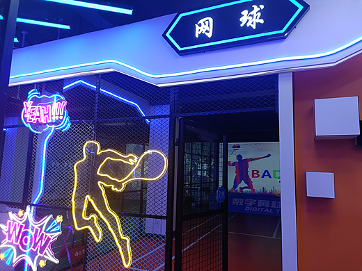 你觉得中国数字体育产业前景如何？