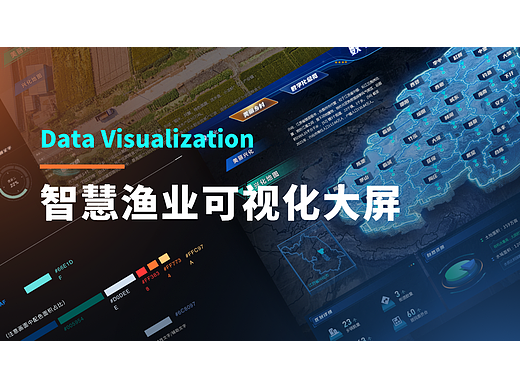 数字渔业可视化/物联网