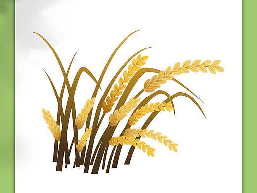 大米插画