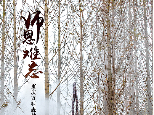 教师节海报（个人主页-ZNTk1NTk3NjA=） - 海报 - 站酷设计师xuruohong原创素材 - 站酷ZCOOL