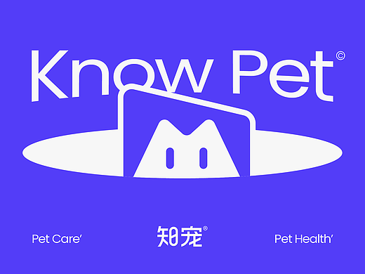 知宠Pet丨宠物医疗线上服务平台