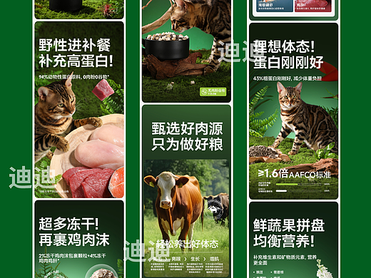 牛肉猫粮详情页设计
