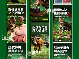 电商——猫粮