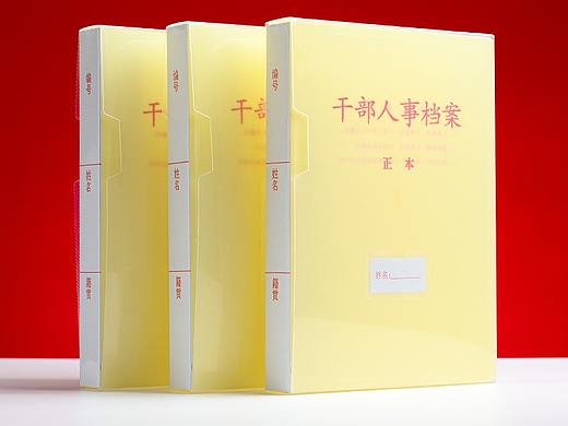 档案办公人事档案盒文件夹产品拍摄主图详情页设计案例