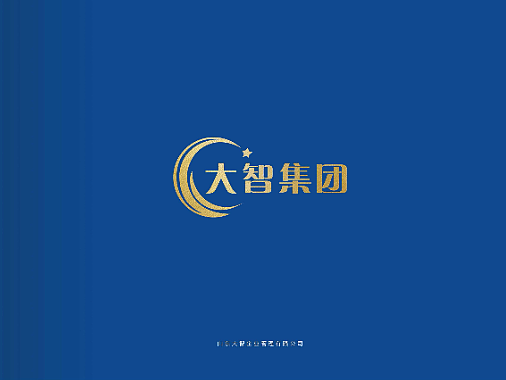 大智集团手册