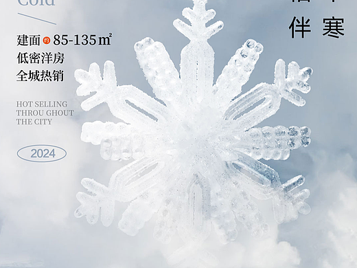 大寒小寒小雪大雪系列海报