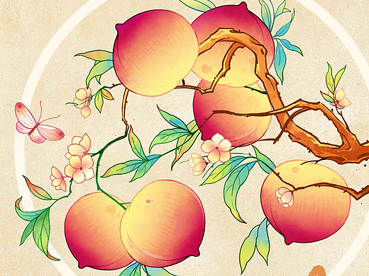 水果插画习作