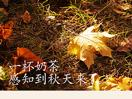 公众号资料