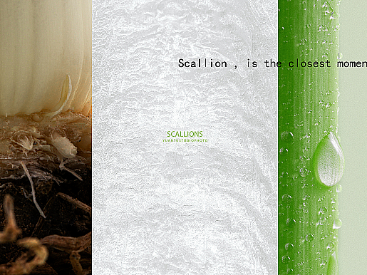 葱Scallion is the closest moment to nature