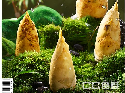 春笋四月正当时