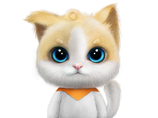 可爱的 IP 猫咪 