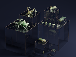 近期的渲染合集