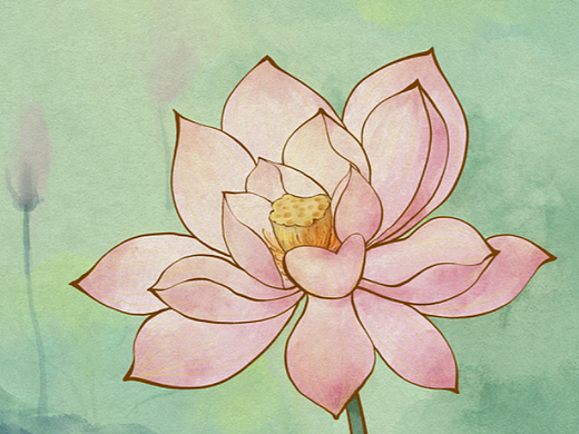 水彩莲花荷花插画