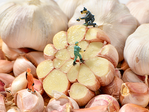 农产品大蒜独头蒜|电商美食摄影|产品拍摄×郑州密斯杨