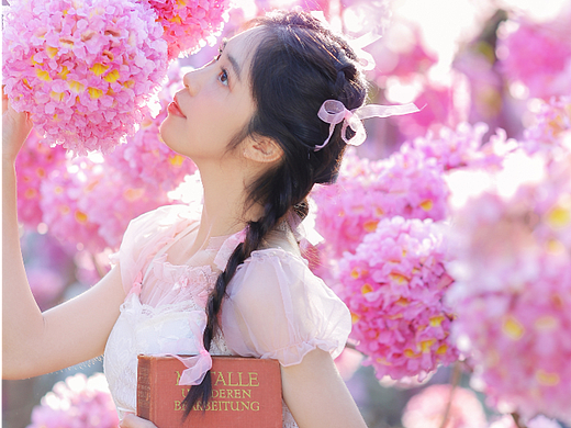 春日来信