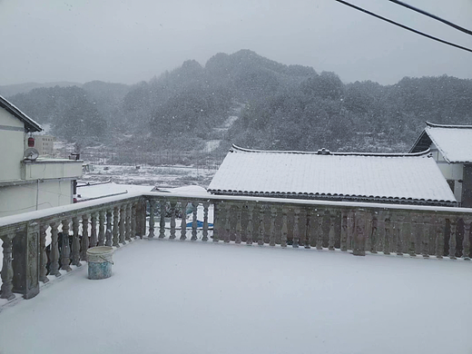 雪落满地