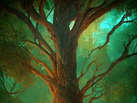 谁没有个树屋梦呢