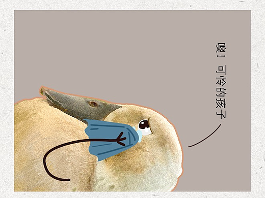 《科尔鸭发家史》