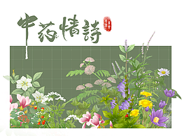 插画